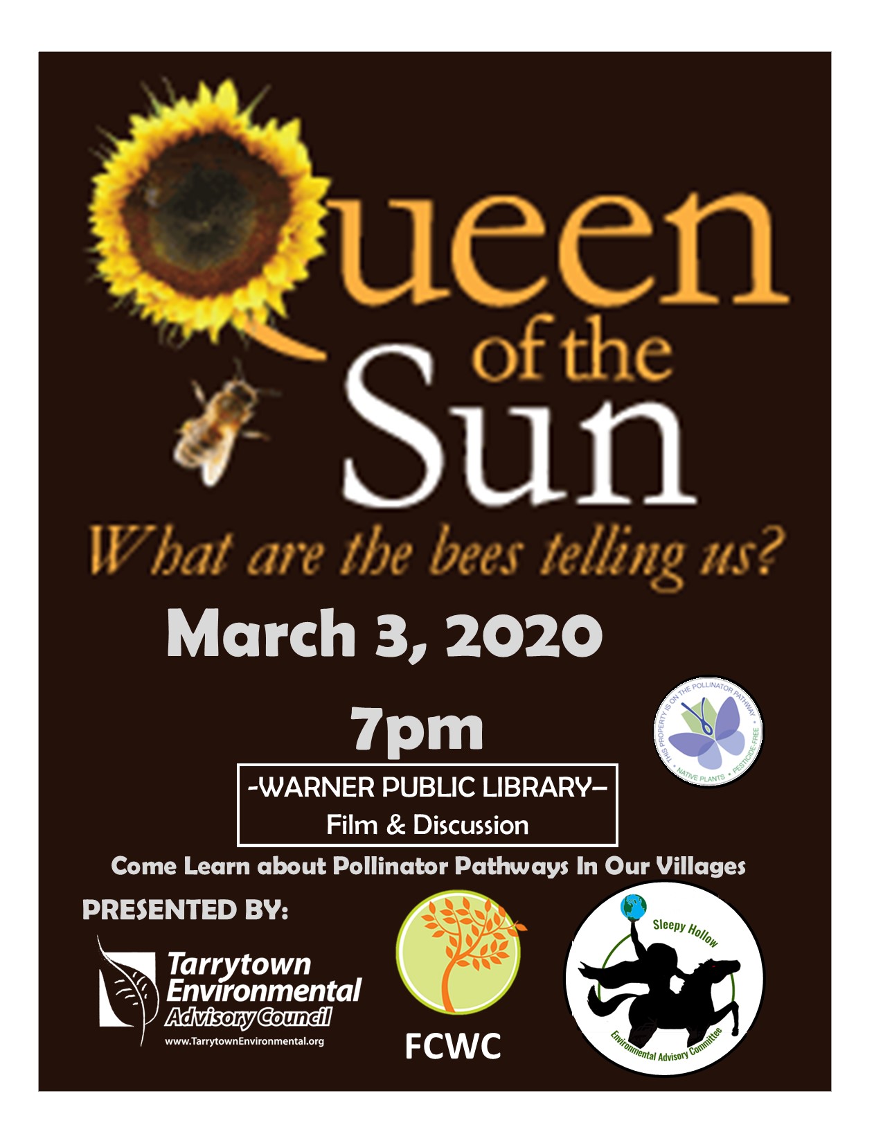 Queen of the Sun Flyer